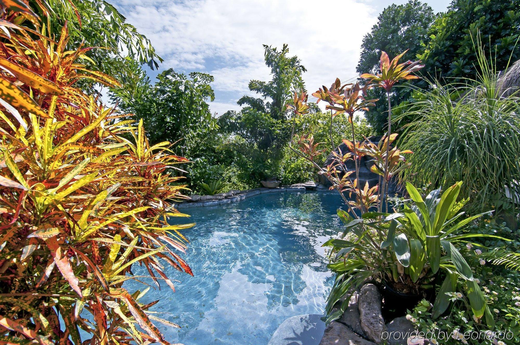 Manoa Valley Inn Гонолулу Экстерьер фото