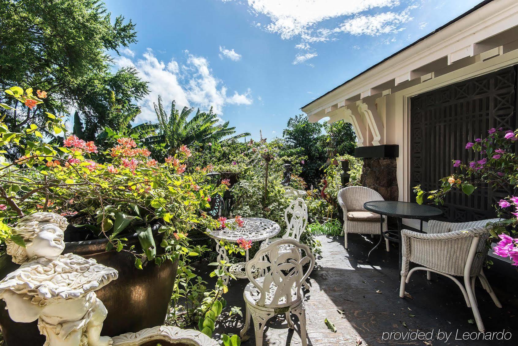 Manoa Valley Inn Гонолулу Экстерьер фото